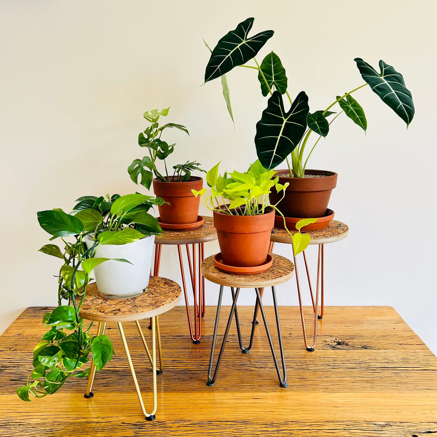 The Classic Plant Stands