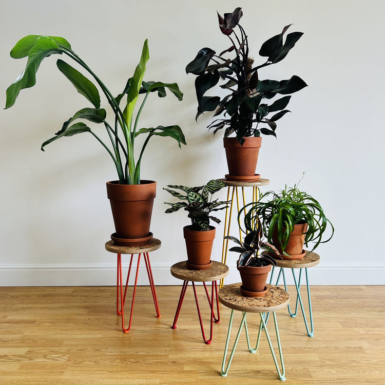 The Maximalist Plant Stands