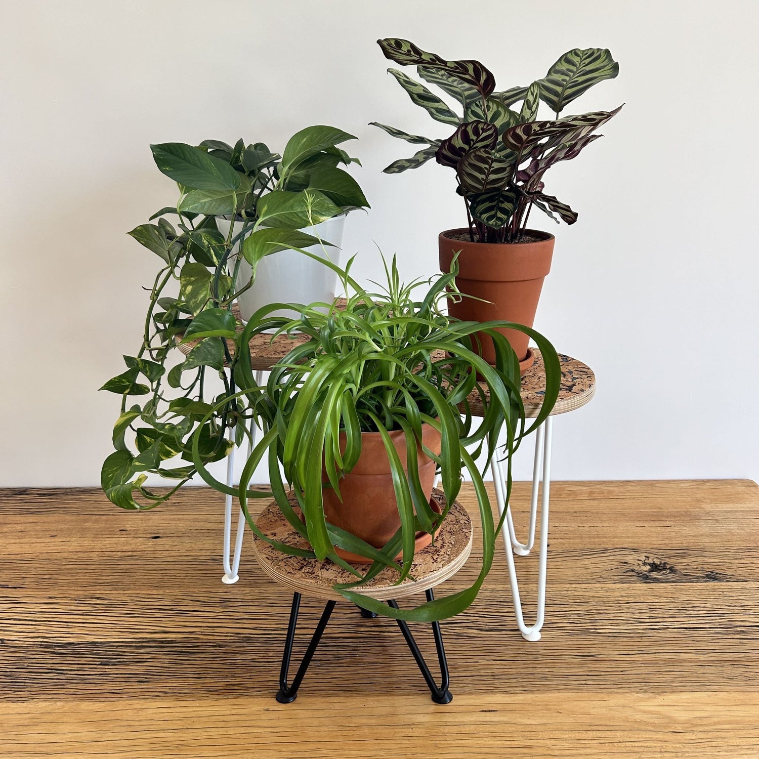 The Minimalist Plant Stands